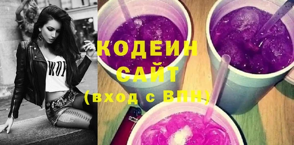 стаф Вязьма