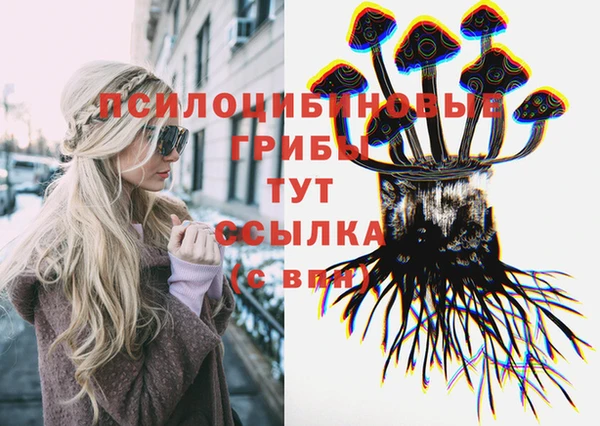спиды Володарск