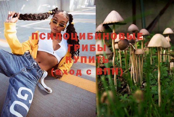 спиды Володарск